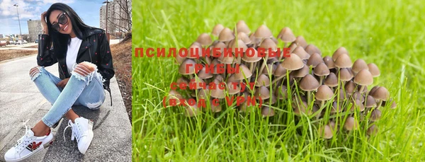 молекула духа Белокуриха