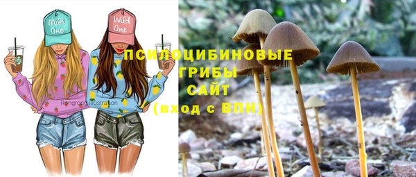 стафф Белоозёрский